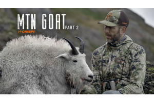 AK Archery Mountain Goat - Part 2